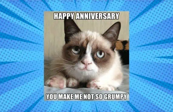 grumpy cat anniversary meme