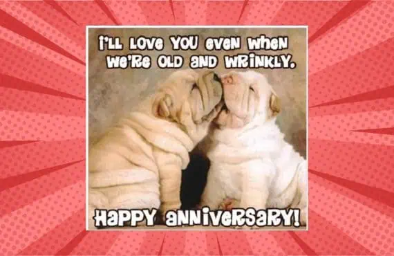 puppy anniversary meme