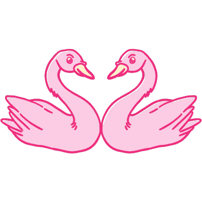 two swans